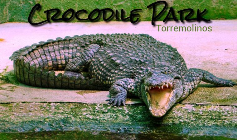 Apartamento El Remo トレモリノス エクステリア 写真
